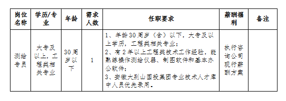 安徽大別山工程咨詢有限公司2024年招聘臨時(shí)工作人員公告